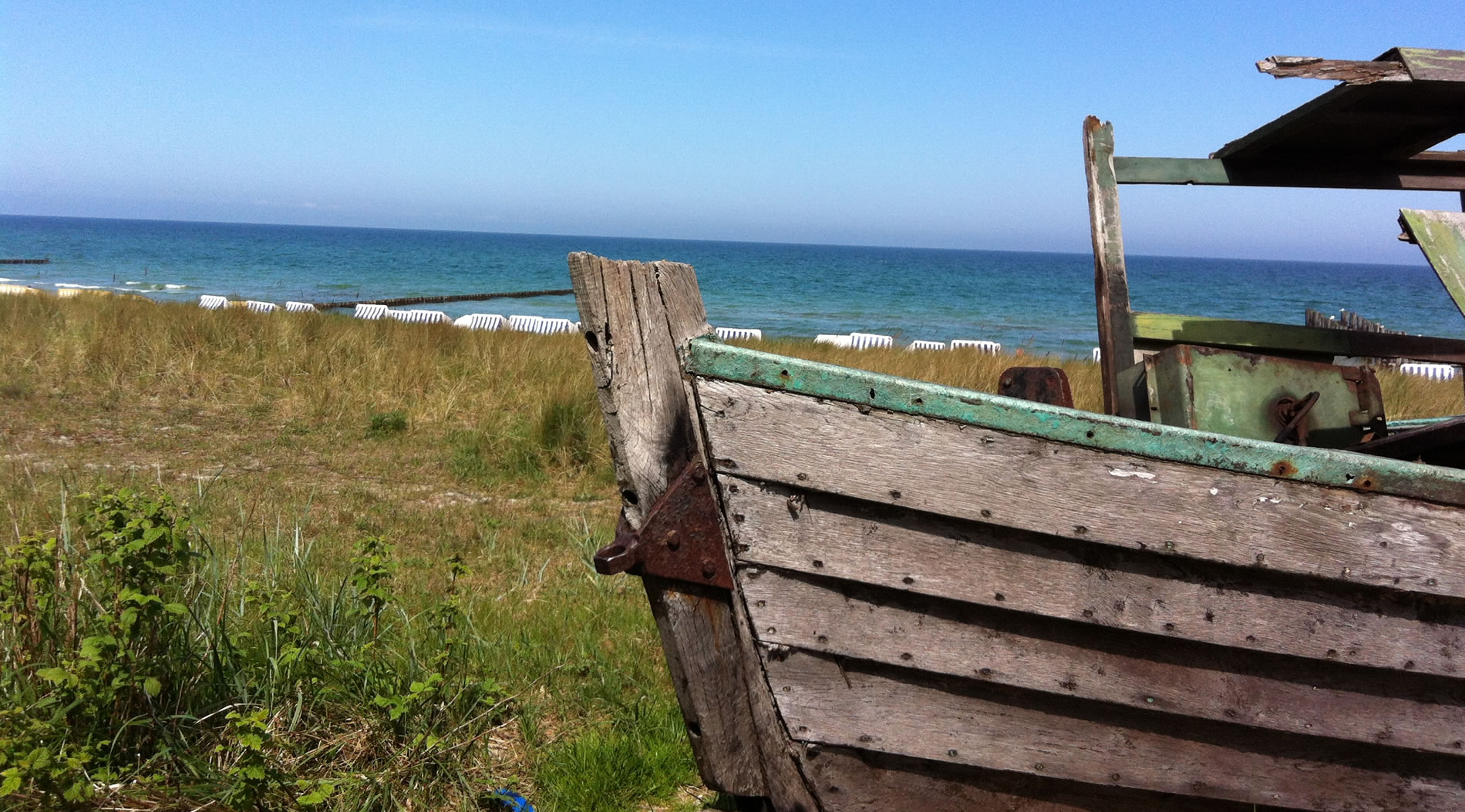 Ferienwohnung Kranich auf Darß - Zingst