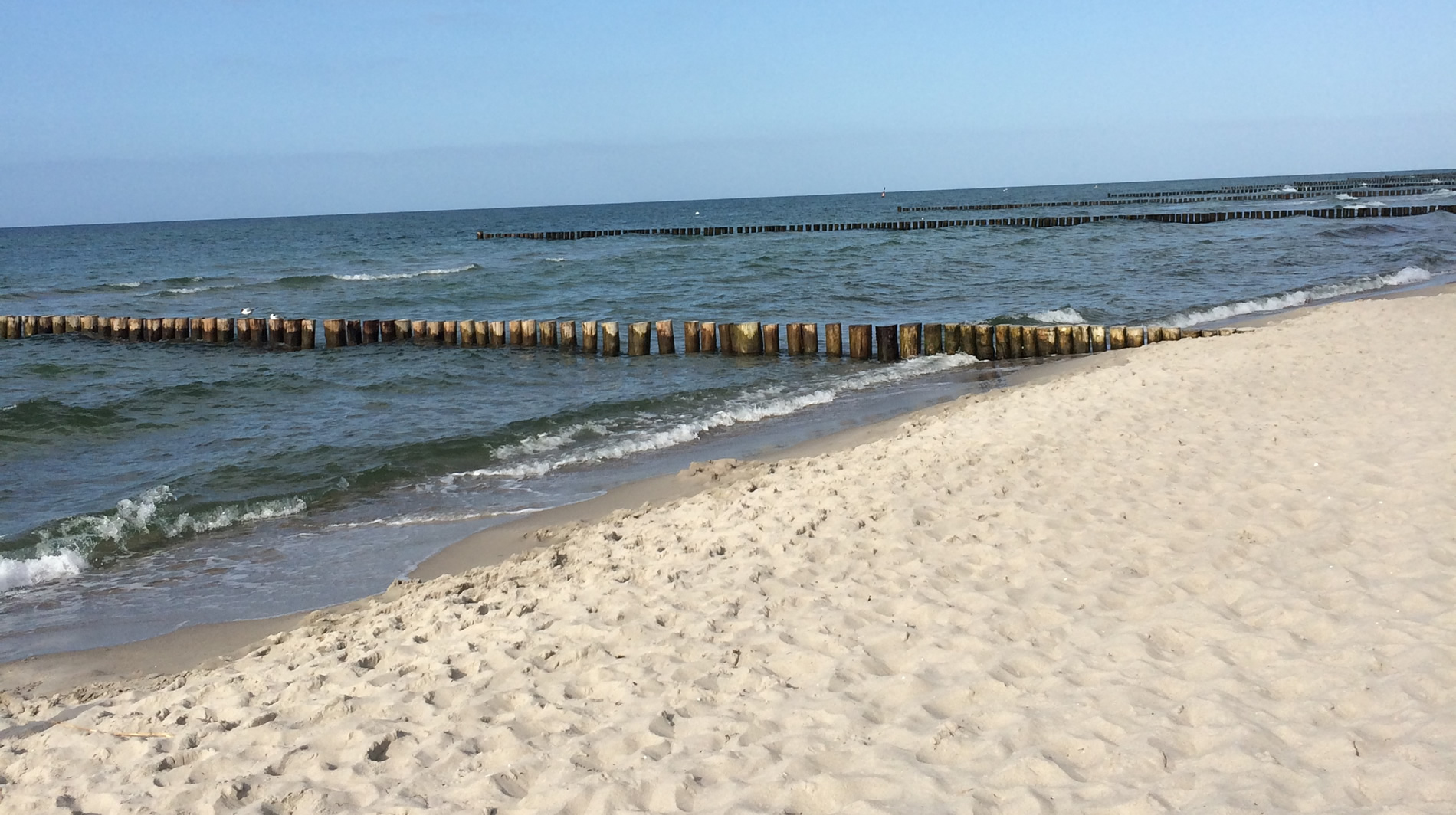 Ferienwohnung Kranich auf Darß - Zingst