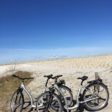 Ferienwohnung Kranich auf Darß - Zingst